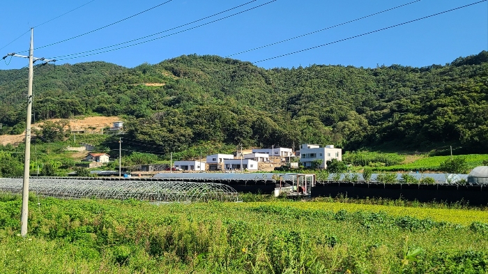 주변 전경