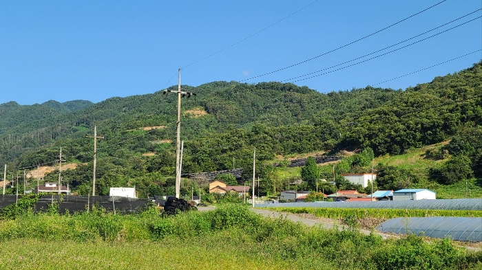 주변 전경