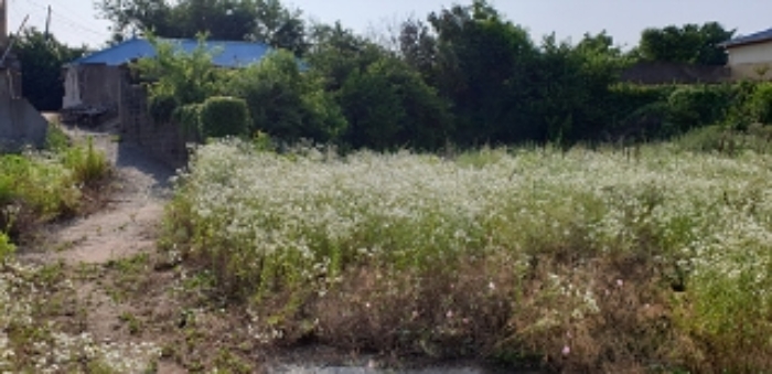 9번 부동산 및 주변 모습