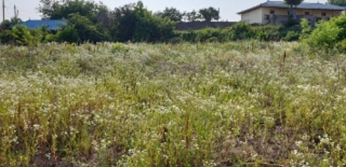 8번 부동산 및 주변 모습