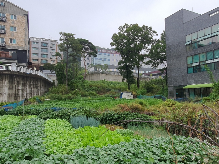 본건 및 주변전경(본건 남서측에서 촬영)