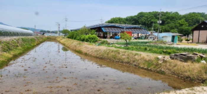 본 건 부동산 전경