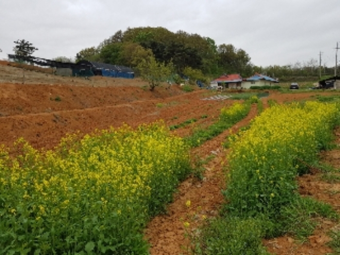 목록3.토지(북쪽 모서리에서 남쪽을 바라본 모습)