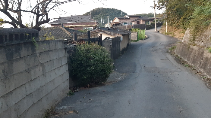 본건 번호 (4) 토지 서측 및 북서측 하단부 도로 및  타인점유분 전경2