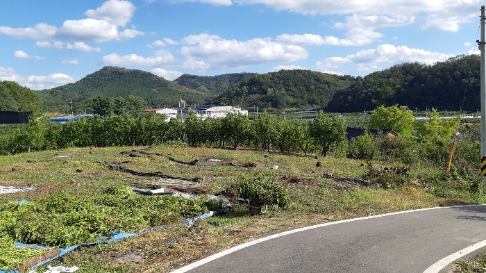 본건 번호 (3) 토지 남측부분 전경