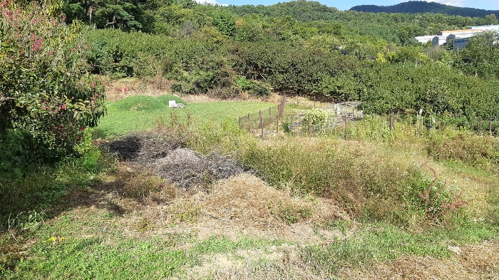 본건 번호 (3) 토지 북동측부분 전경