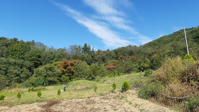 본건 번호 (4) 토지 중단부전경