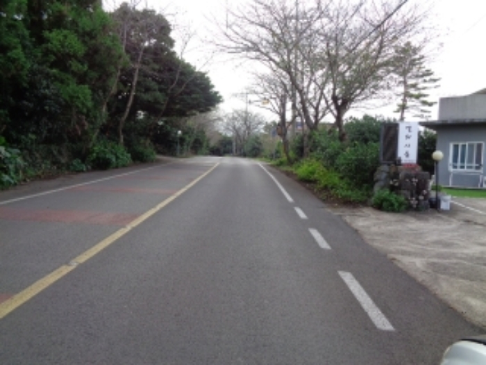 본건 부동산 인