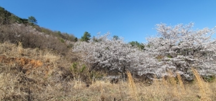 본건1 및 주변