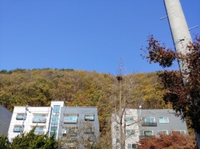 멀리서 바라본 부동산 전경