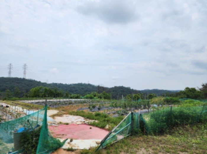 정상부분 경작중인 전 전경.