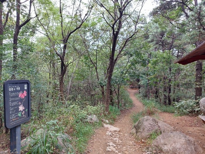 동측 산책로 2