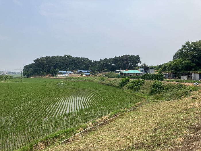 [ 주 위 환 경 ]