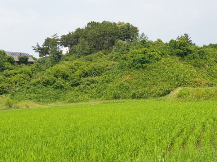 본건 전경(기호