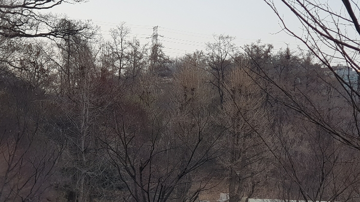 본건 동측에서 촬영