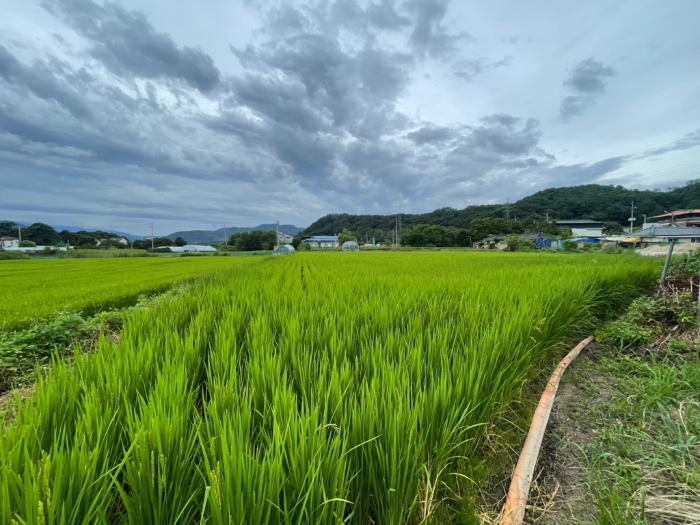 본건전경