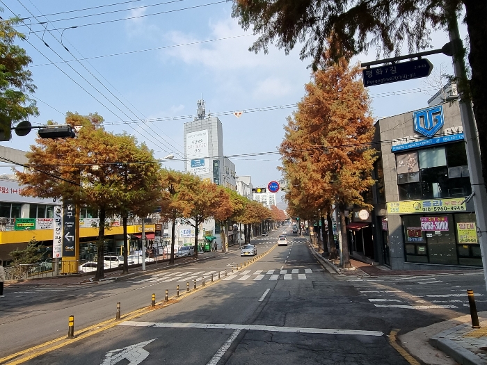 본건 주위-서측