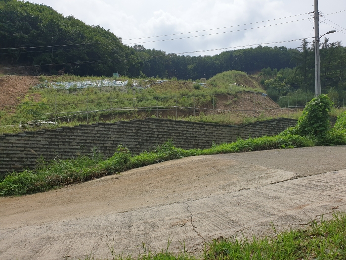 본건 중앙, 우측부분(북동측에서 촬영)