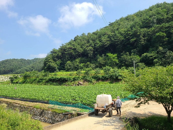 기호 1) 토지 전경