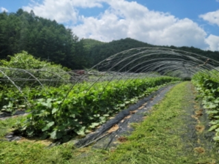 부동산의 표시 1