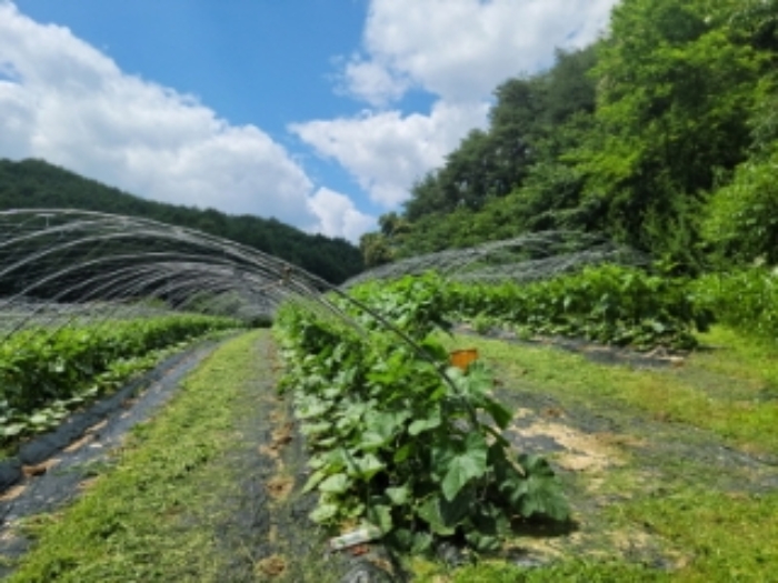 부동산의 표시 1