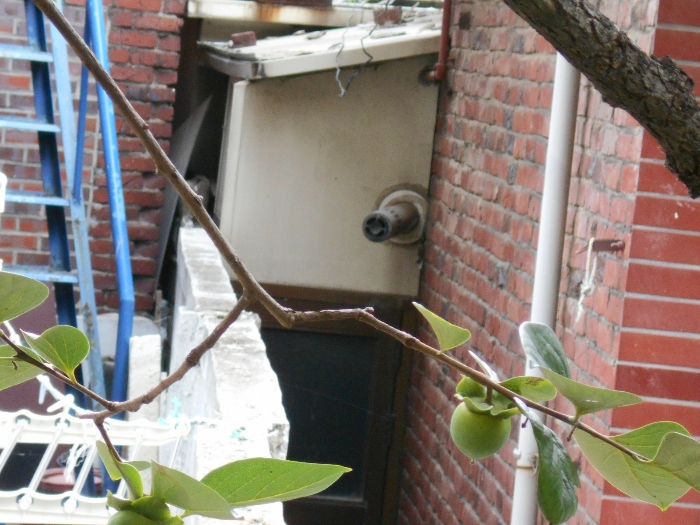 제시외건물 ㄴ(중앙부분)