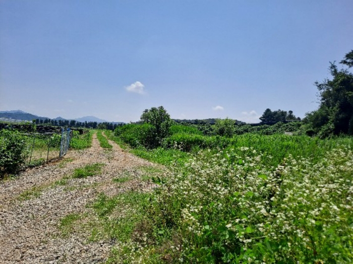 주변 전경