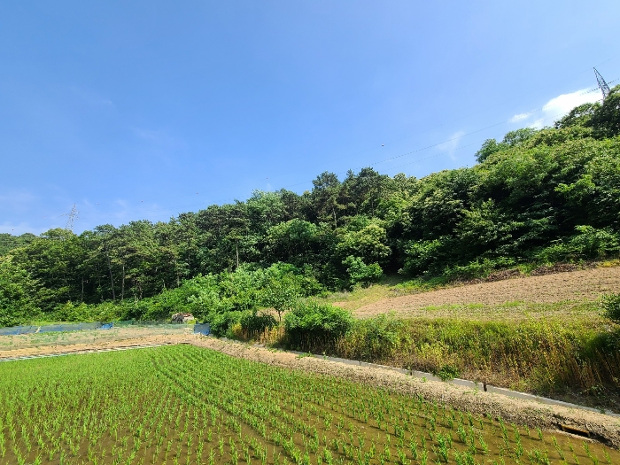 기호(2) 전경(북서측에서 촬영)