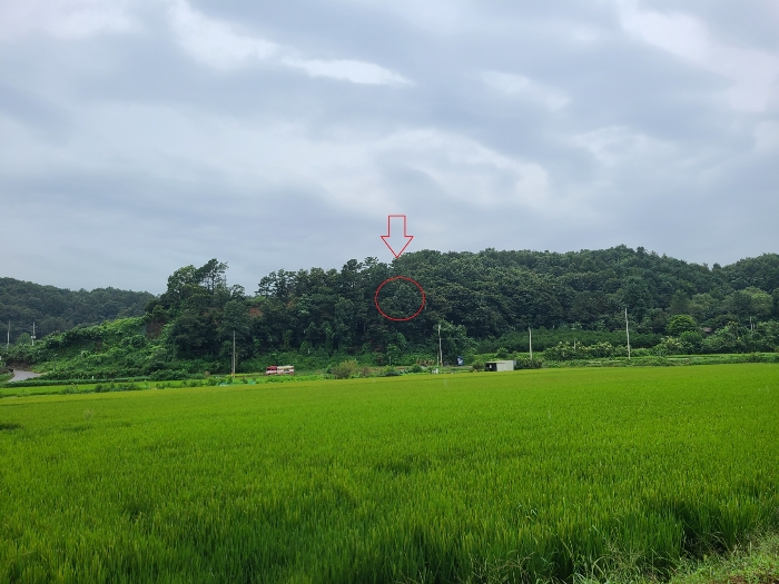 본건 및 주변 젼경