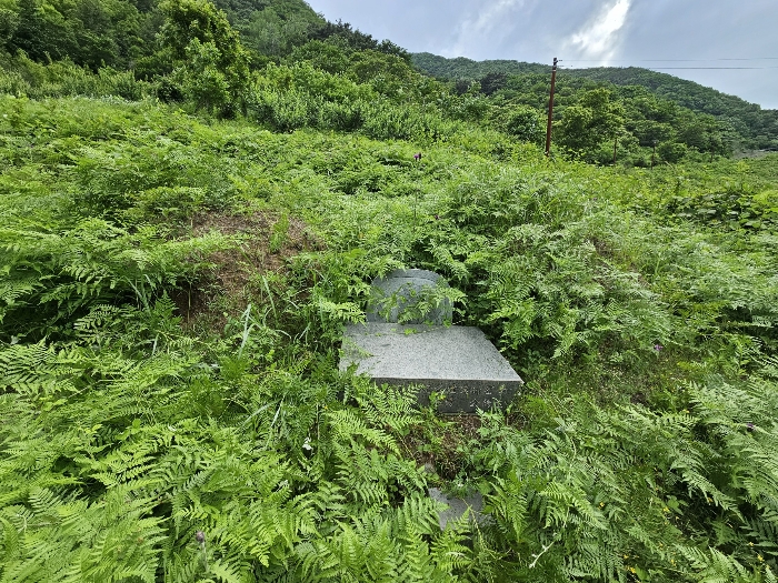 기호2에 일부 걸치는 것으로 보이는 분묘 전경