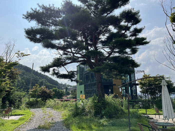 기호(2) 동측에서 촬영