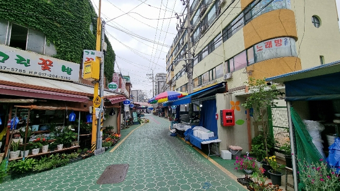 접면도로(동측) 및 주위환경