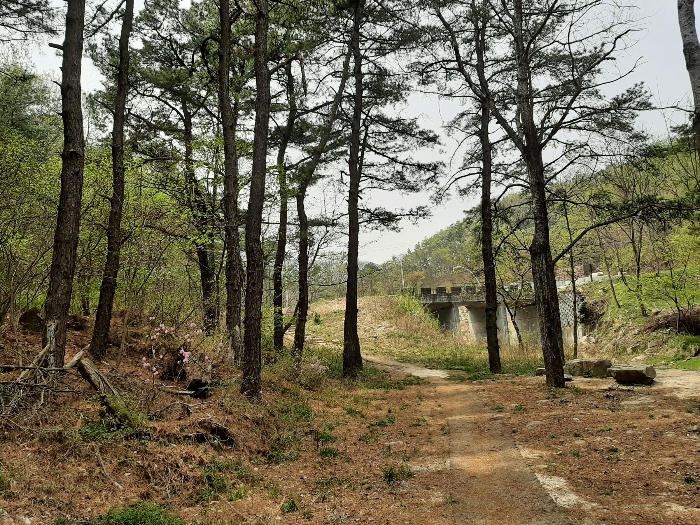 본건 북동측의 하천 산책로