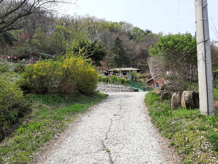 서경리 산74-1(용광사 진입로)