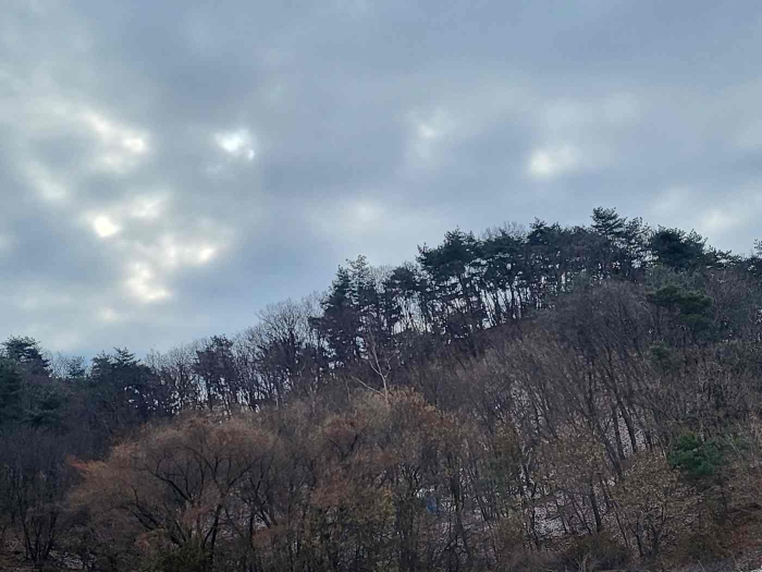 제시 목록 부동산