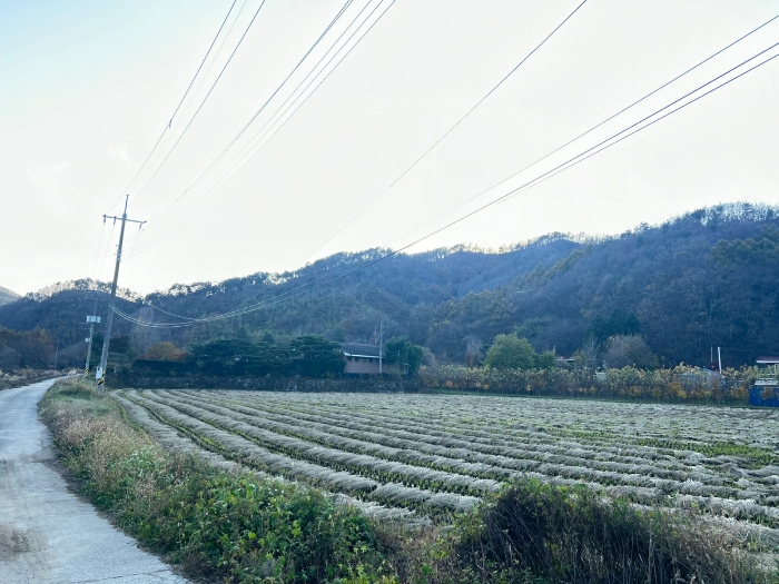 본건(북동측에서 촬영)