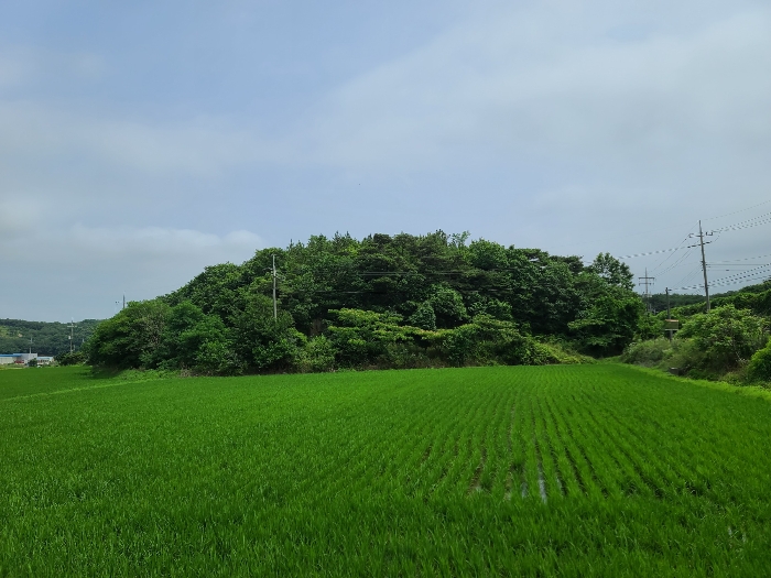 본건 전경(북서측에서 촬영)