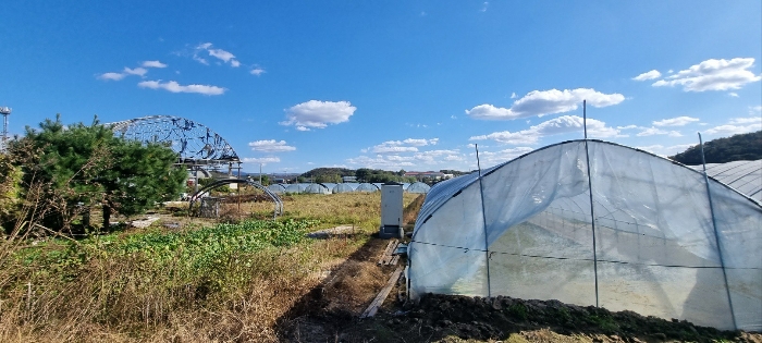 본건전경