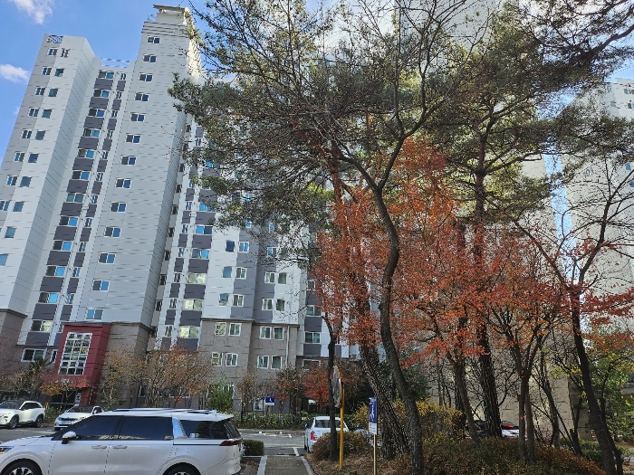 본동 북측 인근에서 촬영