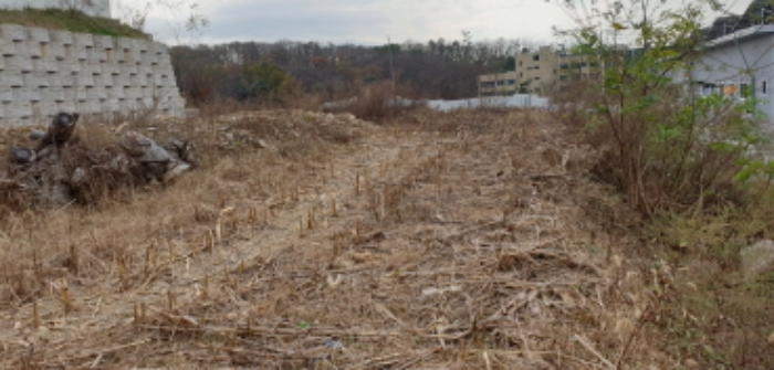 목록2 토지 안쪽 전경