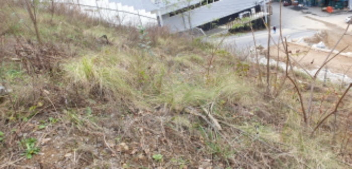 목록2 토지의 경사면 전경