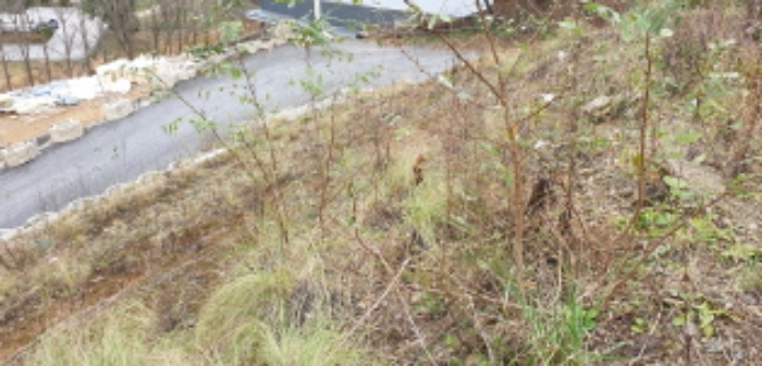 목록2 토지의 경사면 전경