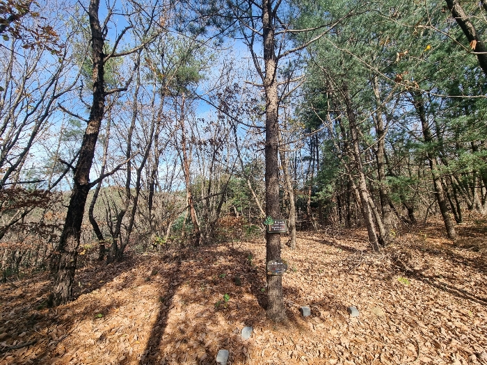 기호(1) 토지상 수목장 소재부분