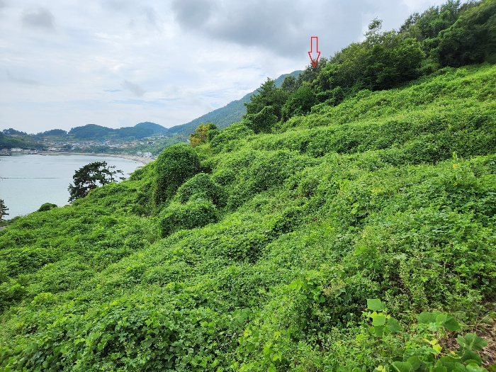 기호5 전경
동측에서 서측을 향하여 촬영