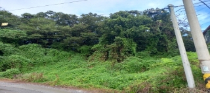 목록1 토지 일부 전경