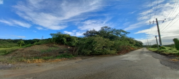 목록2 토지 일부 전경