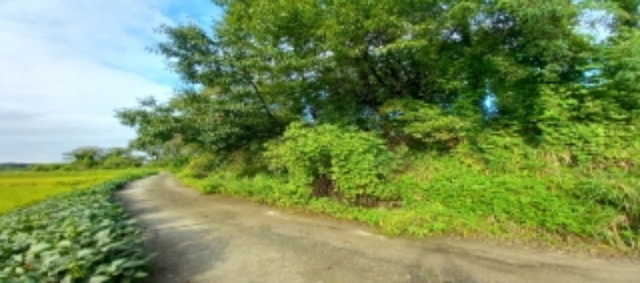 목록2 토지 일부 전경