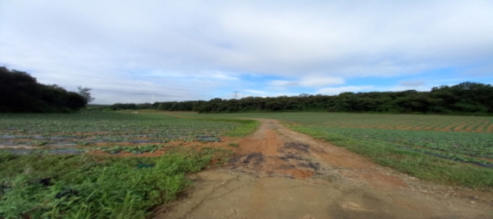 목록1 토지 일부 전경