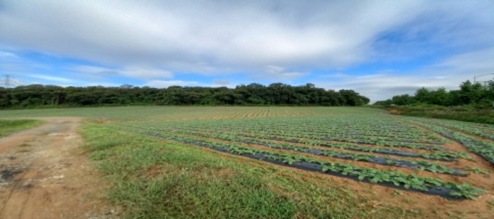 목록1 토지 일부 전경