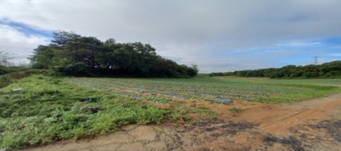 목록1 토지 일부 전경